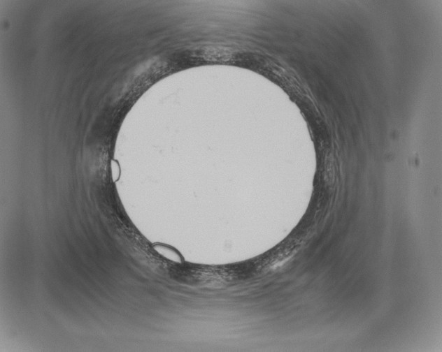 X0000080110697200701051330