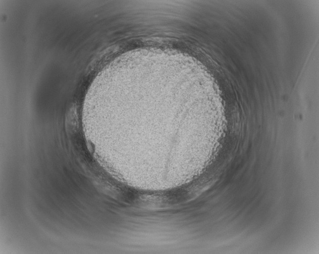 X0000080110699200701051330