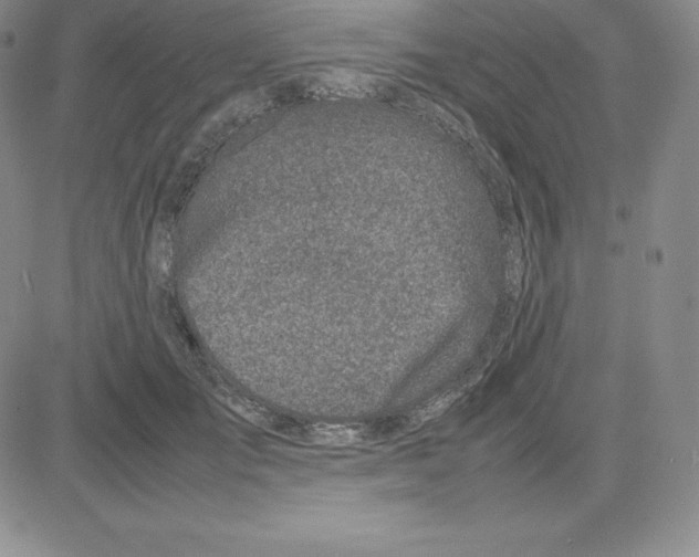 X0000080110701200701051330