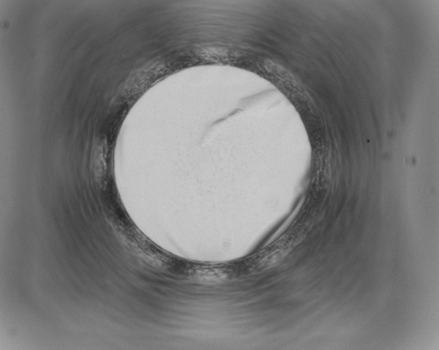 X0000080110702200701051330