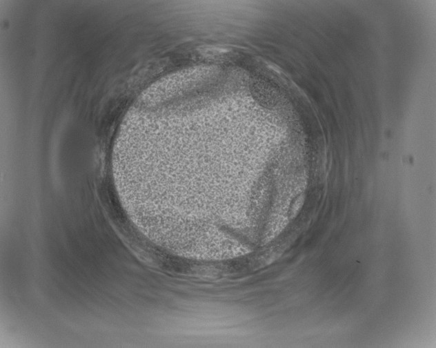 X0000080110703200701051330