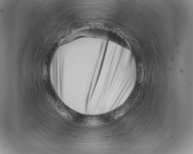 X0000080110704200701051330