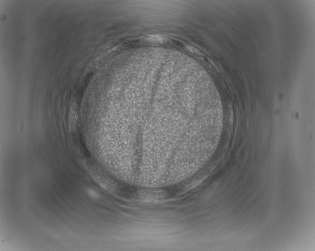 X0000080110707200701051330