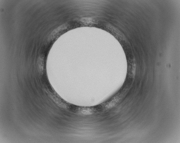 X0000080110710200701051330