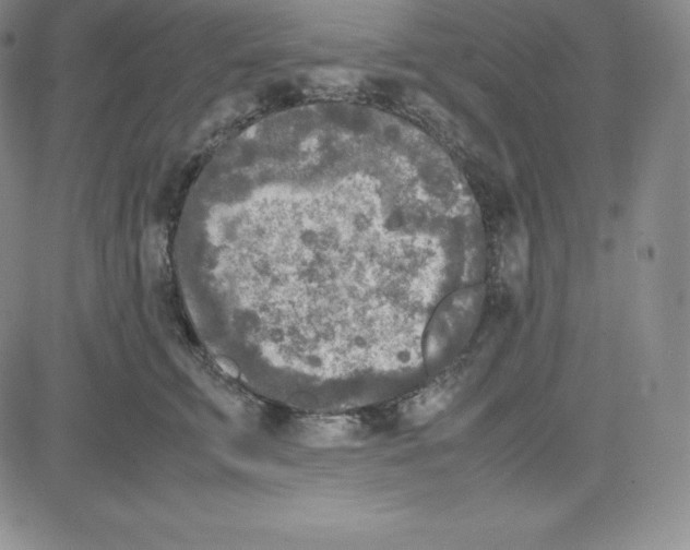 X0000080110711200701051330