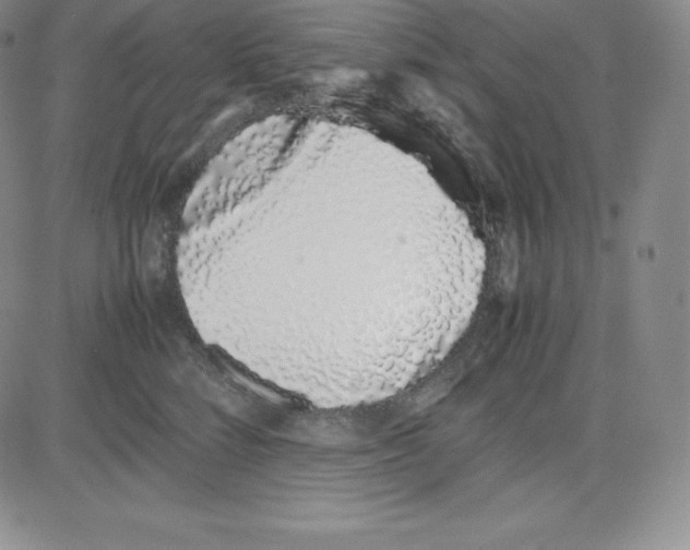 X0000080110712200701051330