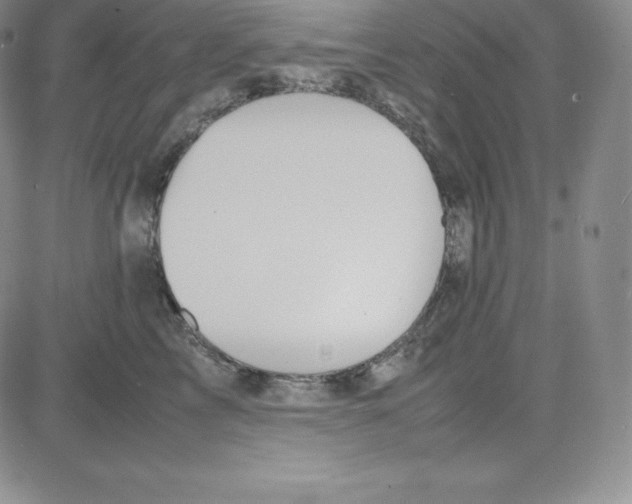 X0000080110713200701051329