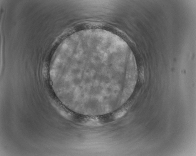 X0000080110715200701051329