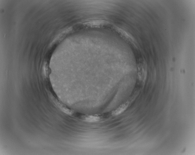 X0000080110718200701051329