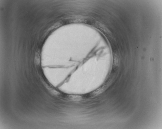 X0000080110719200701051329