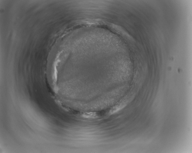 X0000080110720200701051329