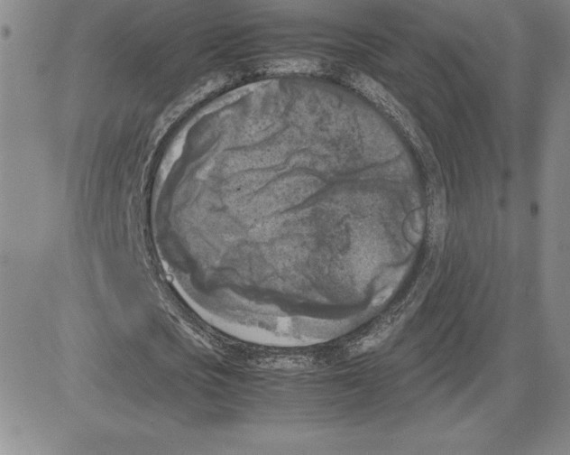 X0000080110721200701051329