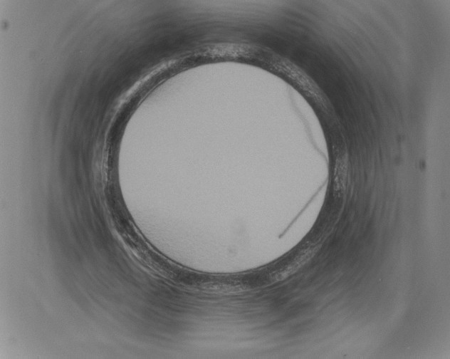 X0000080110722200701051329