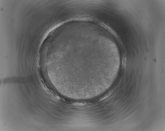 X0000080110724200701051329