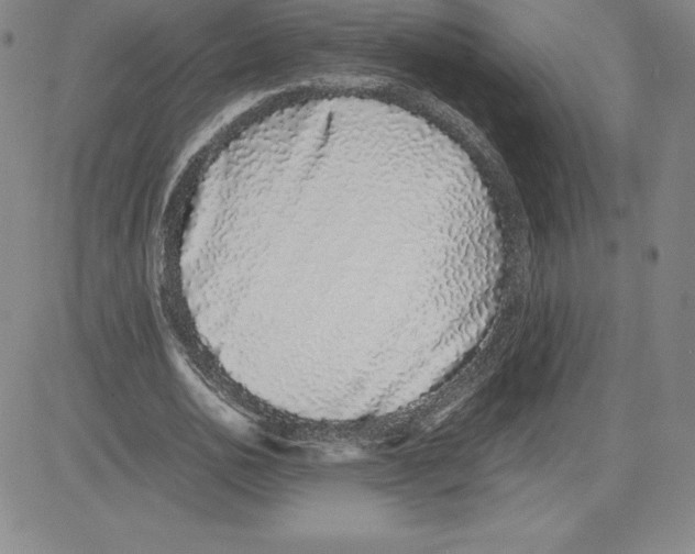 X0000080110726200701051329