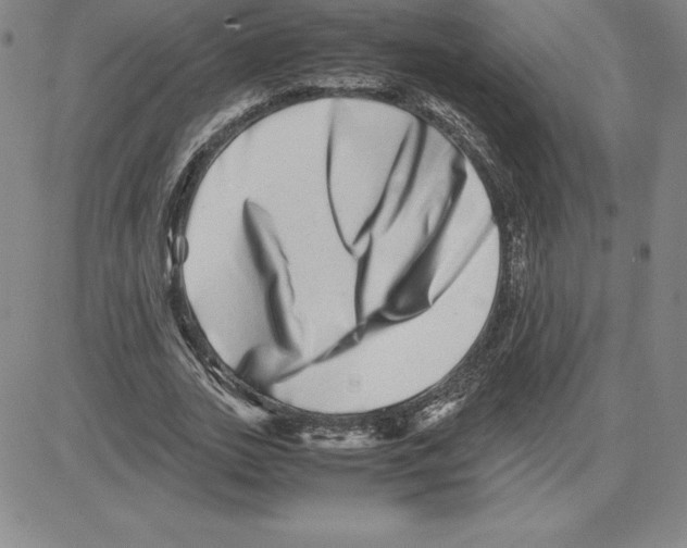 X0000080110727200701051329