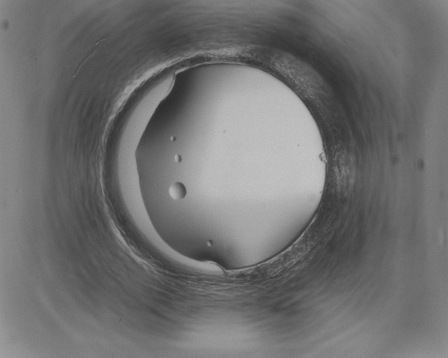 X0000080110728200701051329