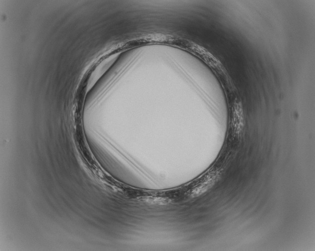 X0000080110730200701051329