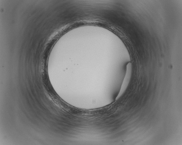 X0000080110732200701051329