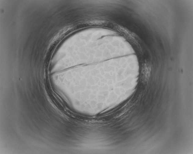 X0000080110734200701051329