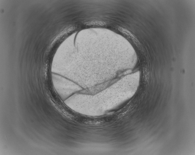 X0000080110735200701051329