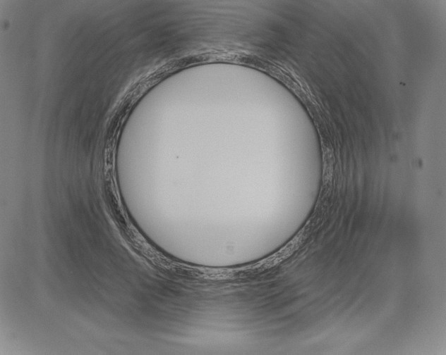 X0000080110736200701051329