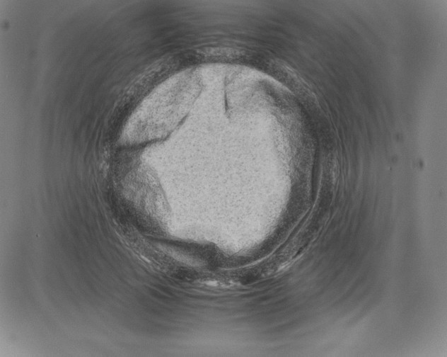 X0000080110737200701051329