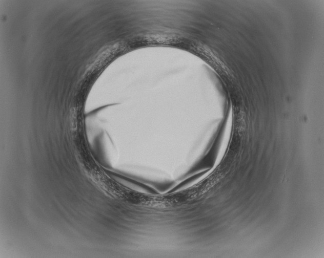 X0000080110738200701051329