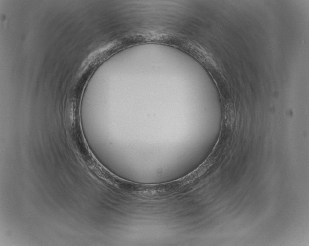 X0000080110740200701051329