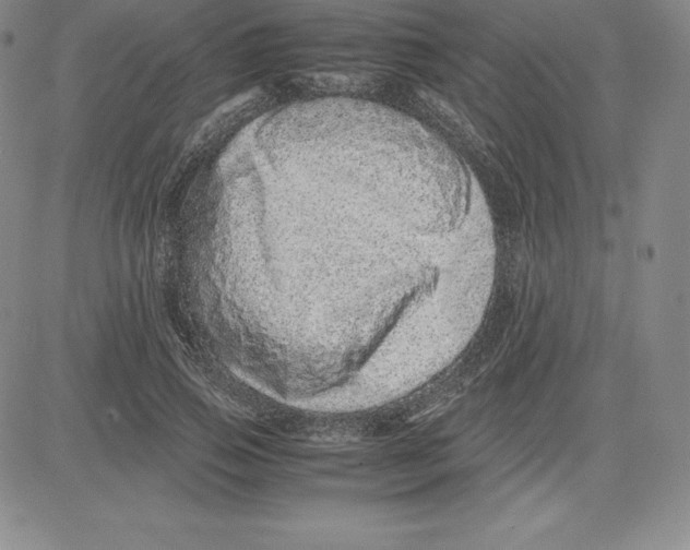 X0000080110741200701051329