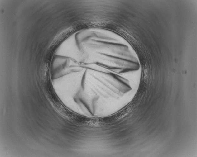 X0000080110742200701051329