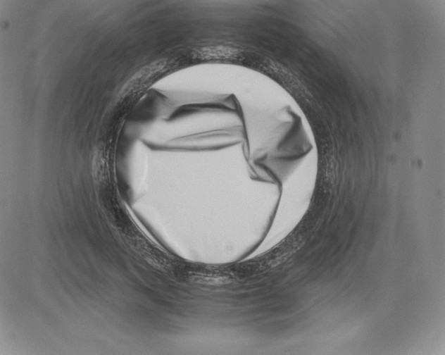 X0000080110743200701051329