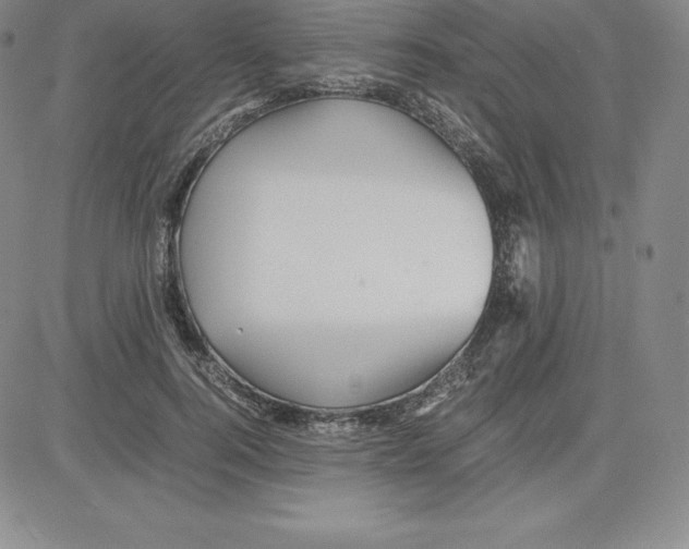 X0000080110744200701051329