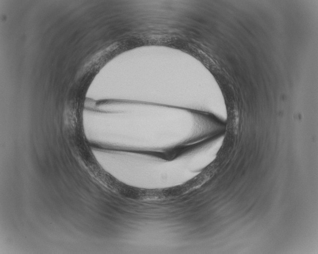 X0000080110746200701051329