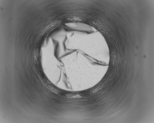 X0000080110747200701051329