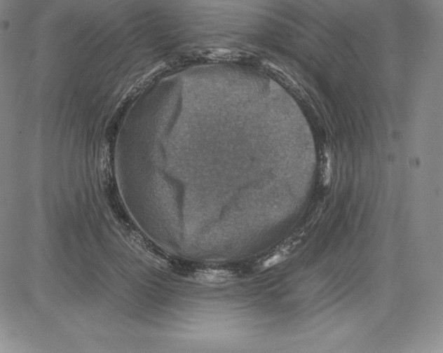 X0000080110748200701051329