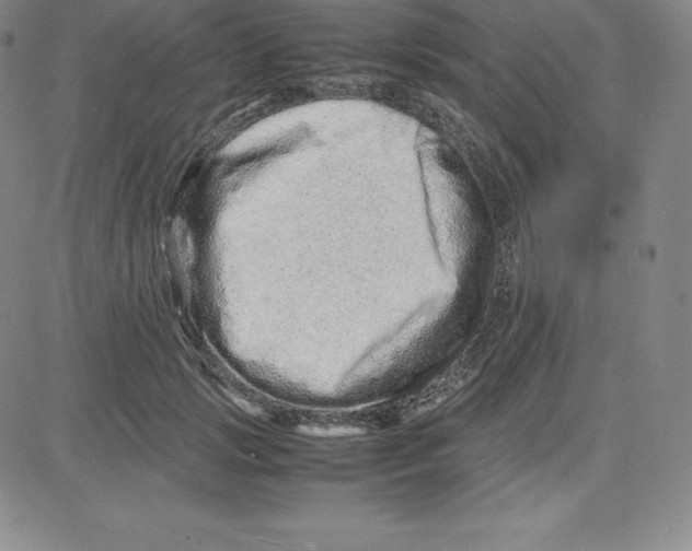 X0000080110749200701051329