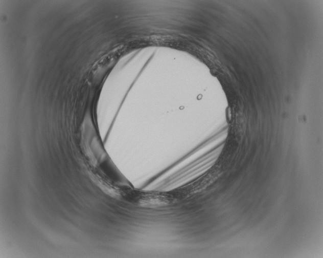 X0000080110750200701051329