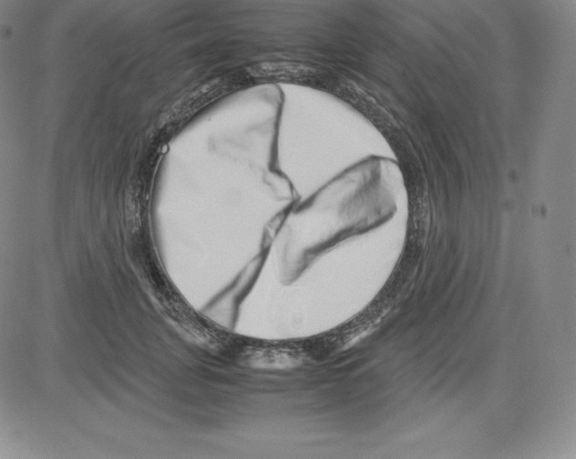 X0000080110751200701051329