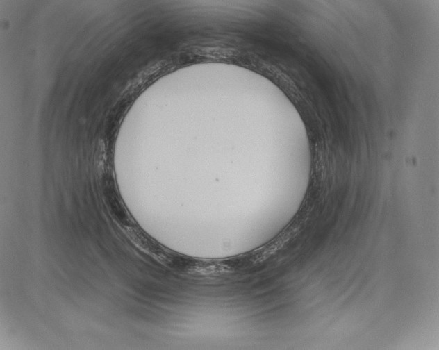 X0000080110752200701051329