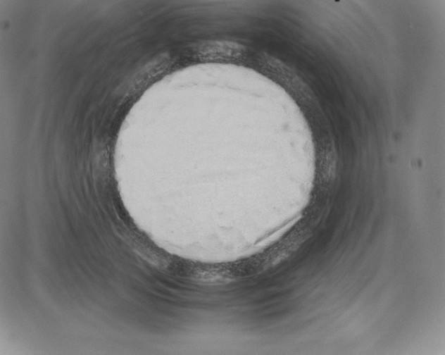 X0000080110753200701051329