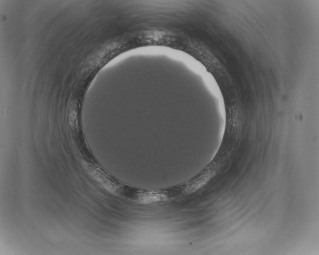 X0000080110754200701051329