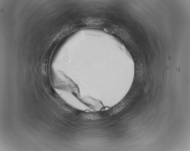 X0000080110755200701051329