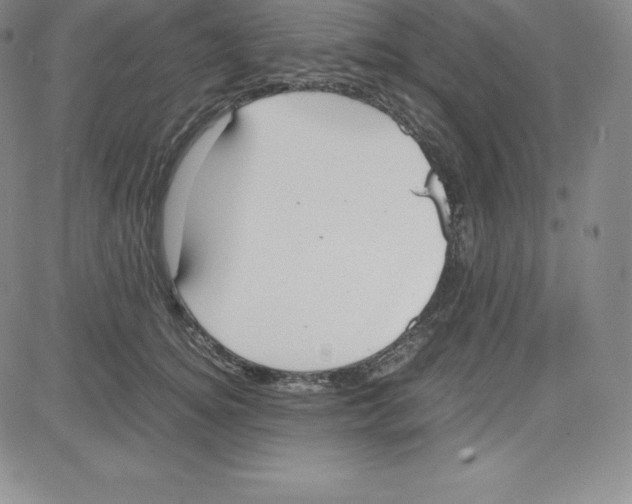 X0000080110756200701051329