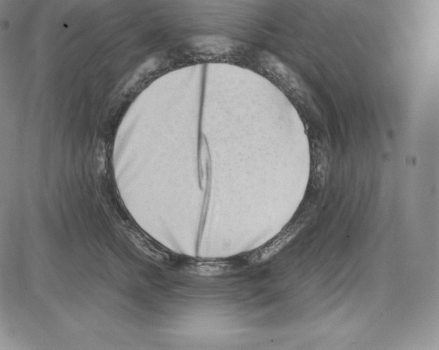 X0000080110758200701051329