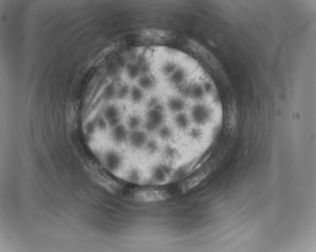 X0000080110759200701051329