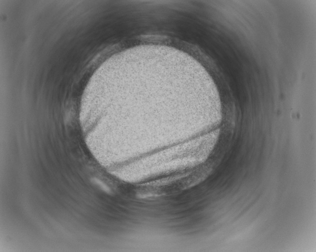 X0000080110761200701051329