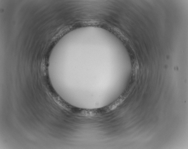 X0000080110764200701051329