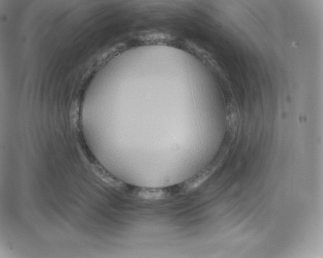 X0000080110767200701051329