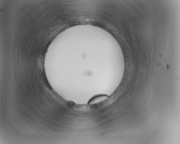 X0000080110768200701051329